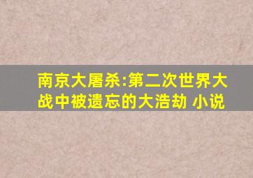 南京大屠杀:第二次世界大战中被遗忘的大浩劫 小说